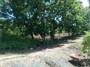 VENTA TERRENO LOTIZAC. PRIVADA VIA COSTA AGE