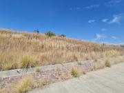 Venta Terreno Macrolote Residencial Molino Leon Gto...