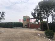 Venta Terreno Mala Cañete 795M2 Praderas Del Sur Ii