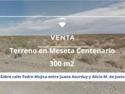 VENTA TERRENO MESETA CENTENARIO NEUQUEN