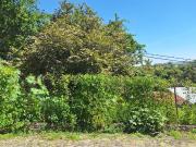 VENTA TERRENO, Palmira 4000, Palmira Cuernavaca Morelos