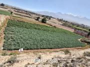 VENTA TERRENO, PAMPAS DEL CURAL, CERRO COLORADO