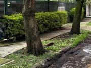 Venta terreno para casa en bosques de las lomas