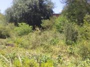 VENTA TERRENO PARQUE SIQUIMAN 830M2 CON ESCRITURA