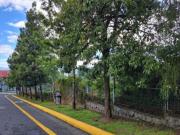 VENTA TERRENO QUITO