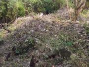 Venta Terreno Rancho San Diego Ixtapan de la Sal