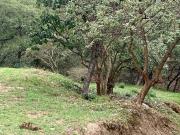 VENTA TERRENO REAL HACIENDA VALLESCONDIDO, ZONA ESMERALDA