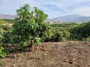 Venta terreno Salobreña