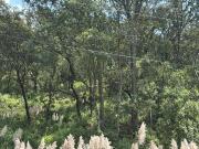 VENTA TERRENO SANTA ANA JILOTZINGO, XINTE, ESPIRITU SANTO