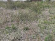 VENTA TERRENO SECTOR CALDERON