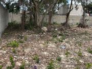 VENTA TERRENO SOBRE AV. 20 DE NOVIEMBRE, CANCUN VENTA TERRENO SOBRE AV. 20 DE NOVIEMBRE, CANCUN
