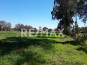 VENTA TERRENO TEOLOYUCAN DE REMAX PLATINO 4