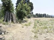 Venta Terreno urbanizado en Atlautla, Edo.Mex. Oportunidad!