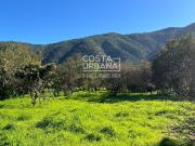 VENTA TERRENO URBANO OLMUÉ, PRIVILEGIADA UBICACIÓN