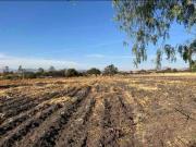 VENTA TERRENO USO DE SUELO INDUSTRIAL/COMERCIAL SILAO