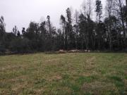 VENTA TERRENO VILLARRICA / DESARROLLO INMOBILIARIO 5 HS