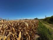 Venta terreno zona industrial