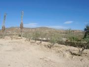 Venta Terrenos Abanilla Murcia DS91453012