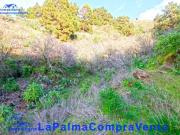 Venta Terrenos Aguatavar Santa Cruz De Tenerife DS60598268