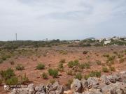 Venta Terrenos Alaior Illes BalearsBaleares DS93587158