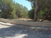 Venta Terrenos Algorfa Costa Blanca DS83122187