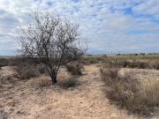 Venta Terrenos Alhama De Murcia Murcia DLS93204813