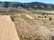 Venta Terrenos Alicante Communidad Valencia DLS92065538