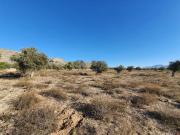 Venta Terrenos Alicante Communidad Valencia DS81223686