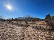 Venta Terrenos Alicante Communidad Valencia DS82371586