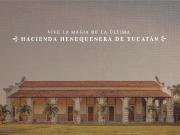 VENTA TERRENOS ALREDEDOR DE HACIENDA RESTAURADA,...