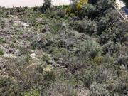 Venta Terrenos Benitachell Alicante DS93578109