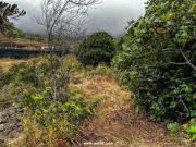 Venta Terrenos Buenavista Del Norte El Palmar DS99027874