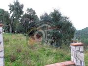 Venta Terrenos Calonge Girona DLS96323726