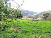Venta Terrenos Cudillero Asturias DS78110776