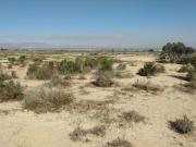 Venta Terrenos Elche Costa Blanca DLS83122389