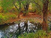 Venta Terrenos en Lomas de Cocoyoc