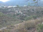 Venta Terrenos Gandia Alicante DS91453014