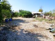 Venta Terrenos La Marina Alicante DS72099851