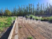 VENTA TERRENOS | LOTEO VANNICOLA | CENTENARIO