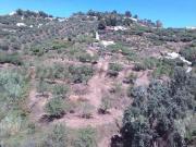 Venta Terrenos Nerja Málaga DS82074315