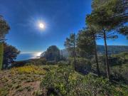 Venta Terrenos Palafrugell CataluñaCatalonia DS90881845