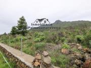 Venta Terrenos Paso, El Santa Cruz De Tenerife DS42159351