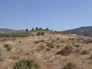 Venta Terrenos Pinoso Alicante DLS93204790