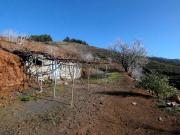 Venta Terrenos Puntagorda Santa Cruz De Tenerife DS73486793