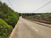 Venta Terrenos S'Aranjassa Palma Mallorca DS66765300