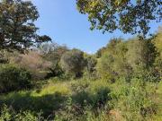 Venta Terrenos Sotogrande Alto Cadiz DLS96325965