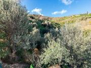 Venta Terrenos Torrox Málaga DS73495723 Venta Terrenos Torrox Málaga DS73495723