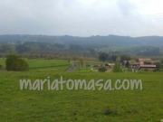 Venta Terrenos Vizcaya Basque Country DS81221238