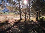 Venta Terrenos Yecla Murcia DLS95038777