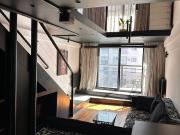 Venta Triplex Penthouse Palermo Nuevo Parrilla